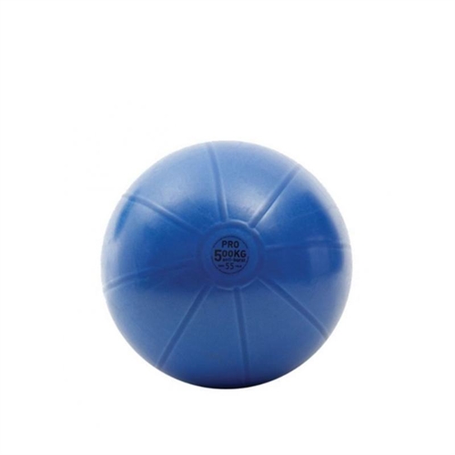  TOORX Anti-Burst Träningsboll - 55 cm
